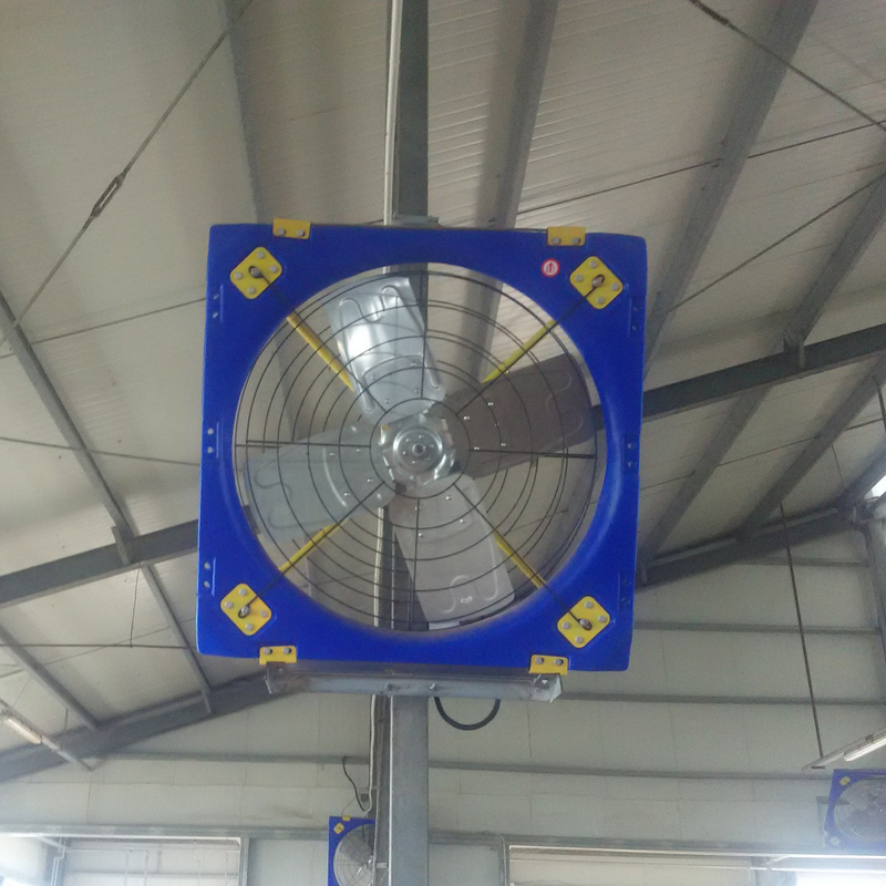 強度 410w 入力電源と 38 刃直径の2層PE畜産循環扇風機