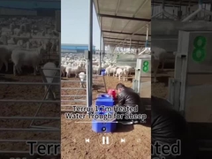 熱保存 信頼性の高い水供給のための家畜の水タンク 200kg容量