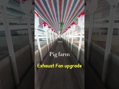 容量 工業用排気扇 72 インチ 刃の直径 IP55 保護グレード