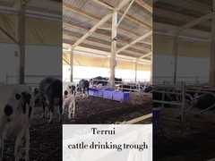 LLDPE 畜産用オートウォーター 牛用の 220V300W の暖房ディスクの 3 セット