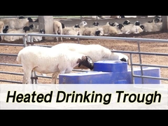 高容量牛水器 260L容量と190mmの飲み高さ