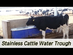 2 セット 1800W 調節式暖房 家畜自動給水器 100-120L/min の流量率