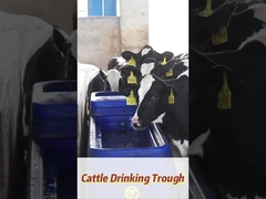 120L/min 流量 耐性のあるポリエチレン 牛の飲み水槽