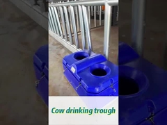 高流量牛水器 450mm の飲水高度で簡単に水をかける