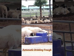 120L/min 流量 牛の飲水槽 150L 農業生産容量