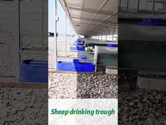 60L容量 170*48*46cm 牛の飲み台 大群にとって理想的です