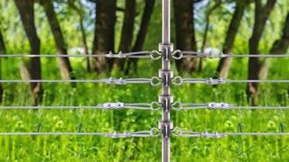 家畜の安全を守る: 電気柵に T ポスト碍子を取り付ける方法