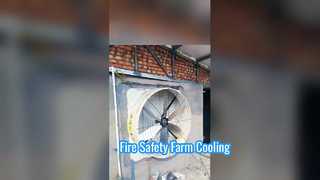 高速換気: Terrui 産業用排気ファンの作動