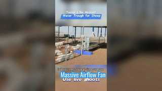 極寒の条件に耐える耐久性のあるプラスチック ケーシングで作られた 1.7 メートルの加熱された家畜用水桶